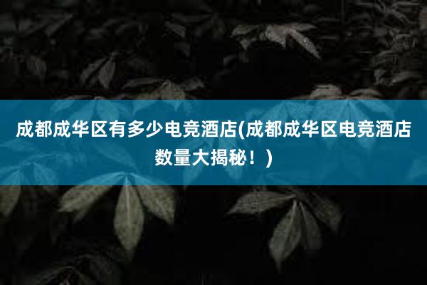 成都成华区有多少电竞酒店(成都成华区电竞酒店数量大揭秘！)