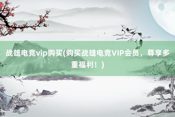 战雄电竞vip购买(购买战雄电竞VIP会员，尊享多重福利！)