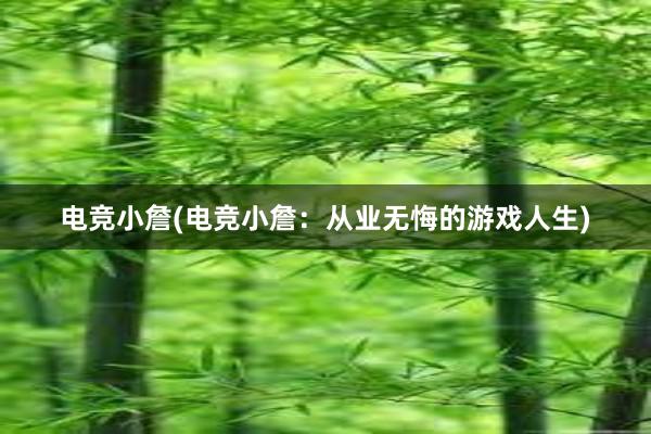 电竞小詹(电竞小詹：从业无悔的游戏人生)