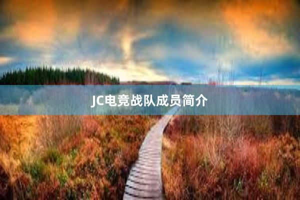 JC电竞战队成员简介