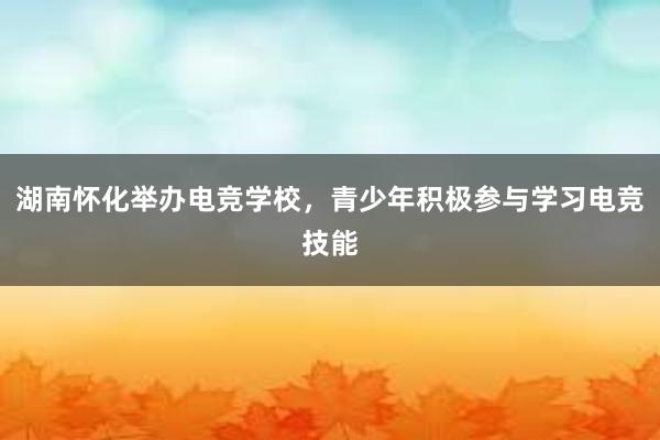 湖南怀化举办电竞学校，青少年积极参与学习电竞技能