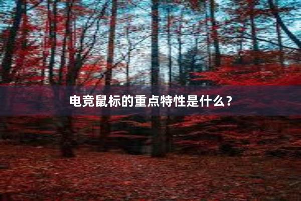 电竞鼠标的重点特性是什么？